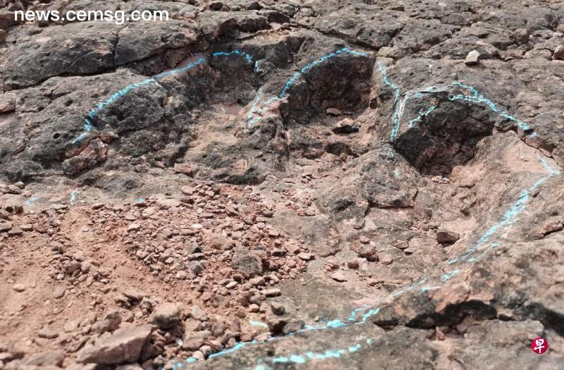 120 million-year-old dinosaur footprint fossils