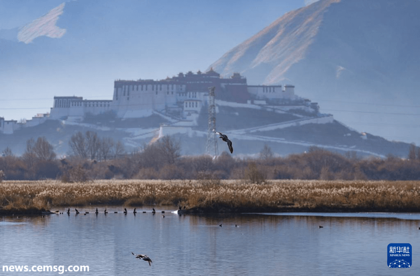 Tibet's Lhalu Wetland Certified